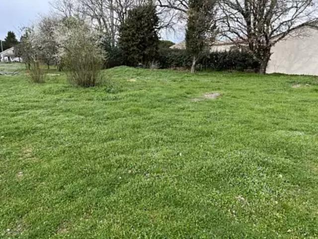 Plaisance du Touch 31830 Programme neuf terrain neuf à vendre
