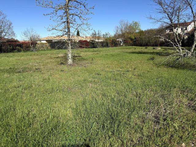 Plaisance du Touch Vente Terrain 31