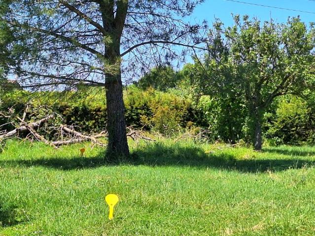 Plaisance du Touch Vente Terrain 31