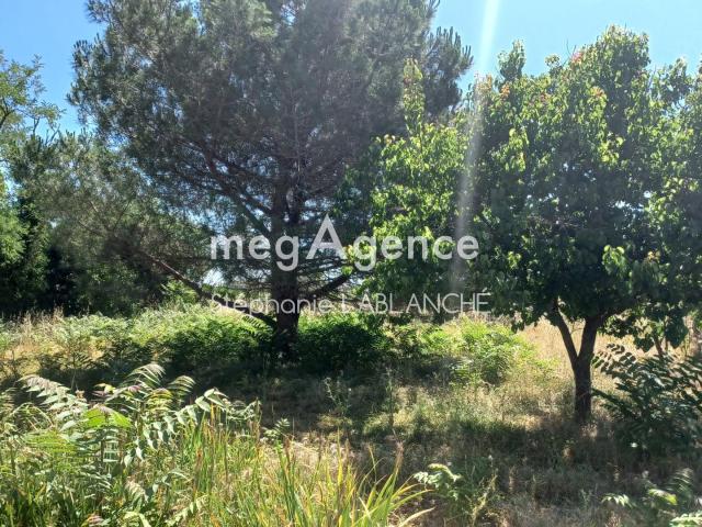 Plaisance du Touch Vente Terrain 31