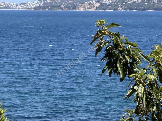 Plaja 50 Metre Mesafede 2+1 Açık Mutfak Daire