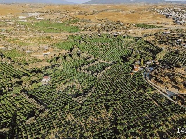 Plaja 1.5km mesafede geçiş hakkı alınır, 750 m2 tek tapu tarla
