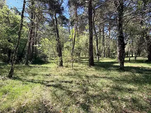 Plan d'Aups Sainte Baume 83640 Programme neuf terrain neuf à vendre