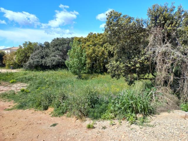 Plan de Cuques Vente Terrain 13