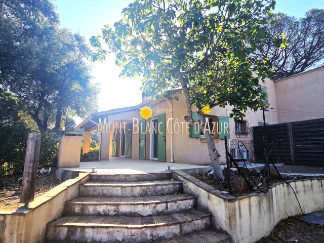 PLAN DE LA TOUR DOMAINE VITICOLE + 2 MAISONS MITOYENNES