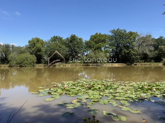 Plan d'eau avec chalet sur un terrain d'environ 5290 m2