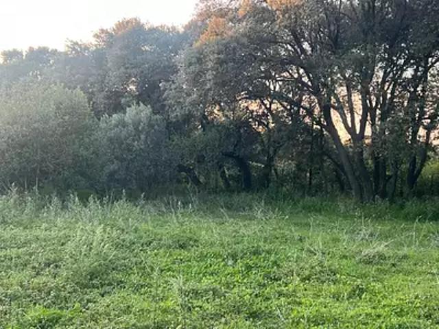 Plan d'Orgon 13750 Programme neuf terrain neuf à vendre