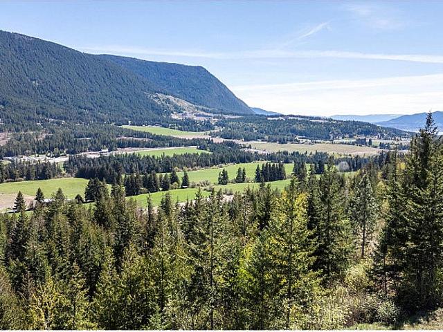 Planned Lot 2 Tappen Notch Hill Road Tappen, British Columbia