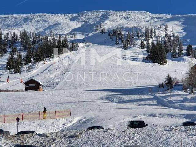 PLANNERALM DAS NATURPARADIES: SKIHOTEL MIT DIREKTEM PISTENZUGANG 16 ZIMMER RESTAURANT BAR LOUNGE