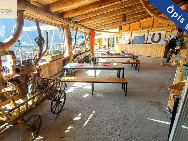 Plant on sale in Varen Ref 23012 | dreamo. Ch