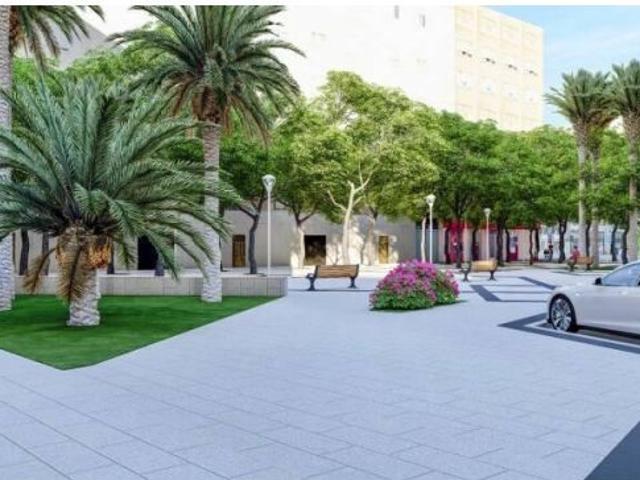 Planta baj, zona el Pla elche