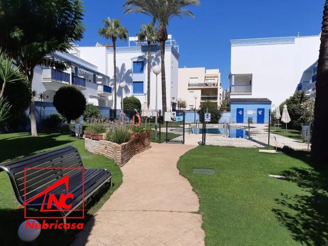 Planta Baja Alquiler Cádiz