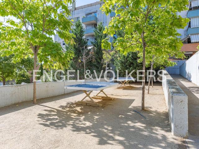 Planta baja en venta en Terrassa, Les Arenes La Grípia Can Montllor. Piso impecable con piscina comunitaria y parking junto a la estación Estació de lEst. Plantas bajas.