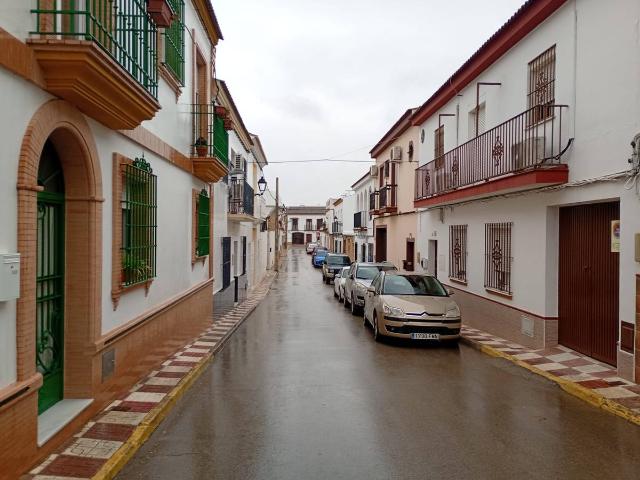 Planta baja en Venta en Albaida del Aljarafe