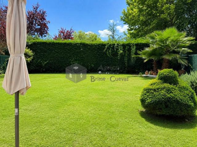 Planta baja en Venta en Colloto