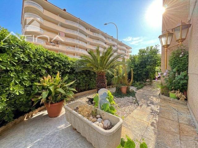 Planta baja en Venta en Daimús