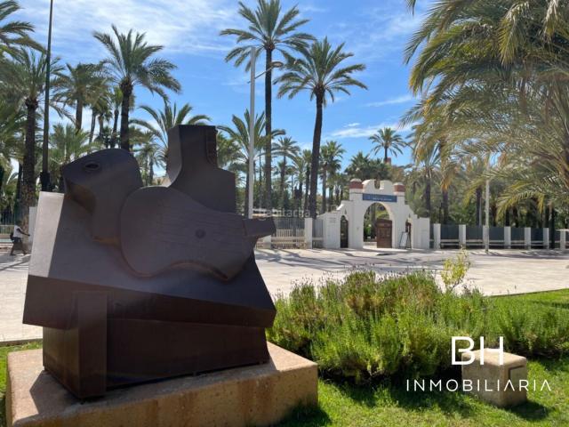 Planta baja en venta en Elche Elx, Centro. VIVIENDA ENORME CENTRO CASCO HISTORICO. Plantas bajas Elche.