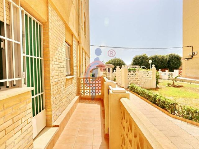 Planta baja en Venta en Guardamar Playa