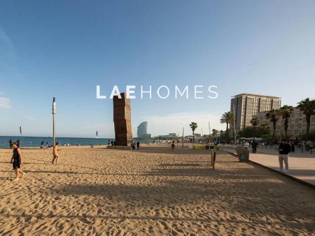 Planta baja en Venta en La Barceloneta