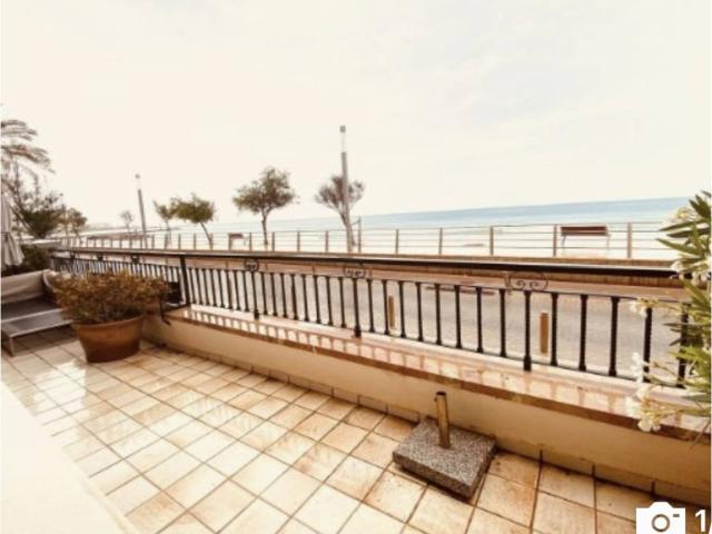 Planta baja frente al mar en el Molinar, con fabulosas terrazas