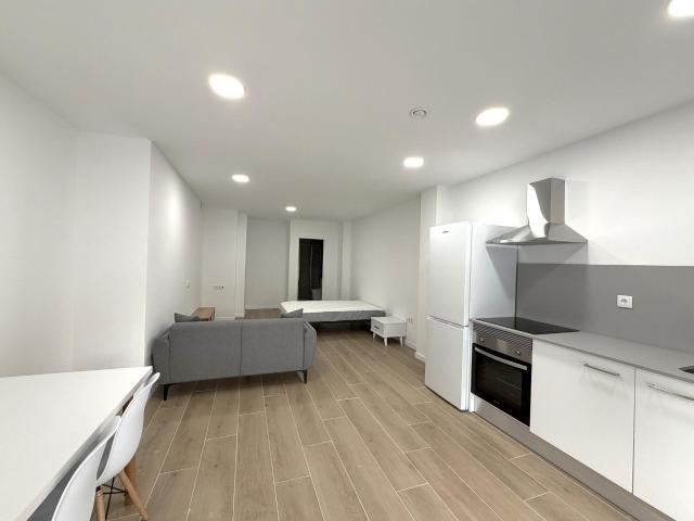 PLANTA BAJA LOFT EN ALQUILER EN PUÇOL