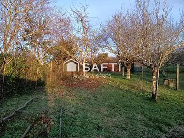 Plassac 33390 Achat / Vente maison 16 pièces t16 piscine terrasse