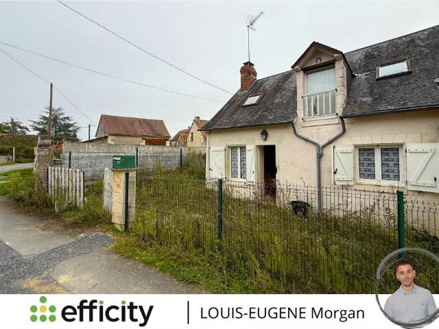 Pleumartin Vente Maison 86