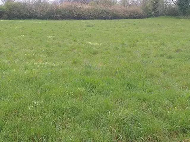 Pleumartin 86450 Achat / Vente terrain