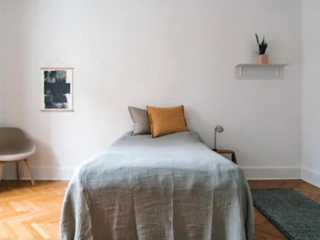 Pleasant double bedroom in Østerport