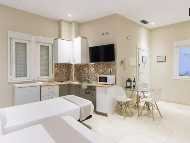 Pleasant studio apartment for rent in centre of Madrid
