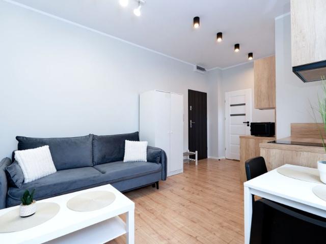 Plebiscytowa 32 25 m², Katowice