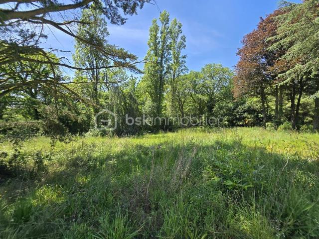 Pléchâtel Vente Terrain 35