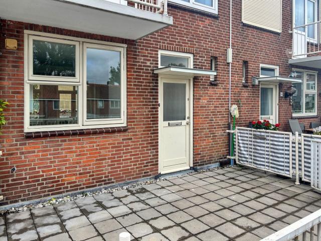 Plein 1945 27