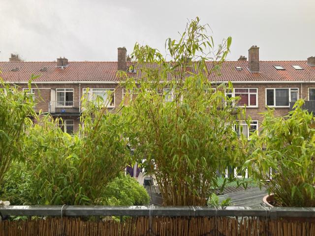 Pleinweg, Rotterdam Amsterdam Apartments for Rent