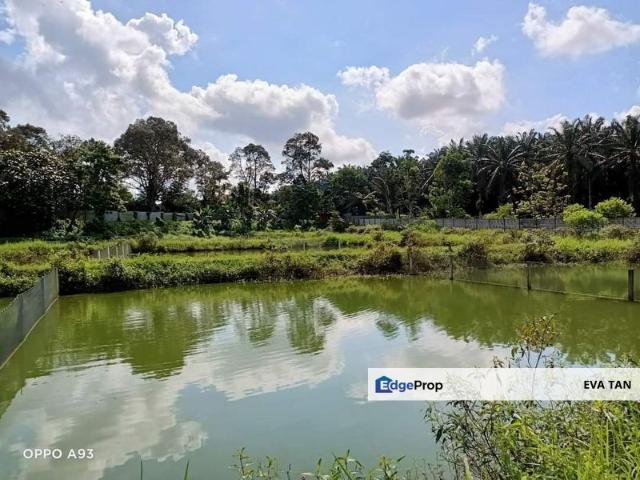 Plentong Fish Farm for Zoning Residential