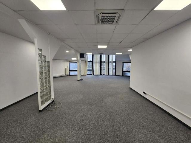 Pleszowska 250 m², Kraków