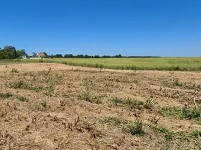 Plivot 51150 Achat / Vente terrain