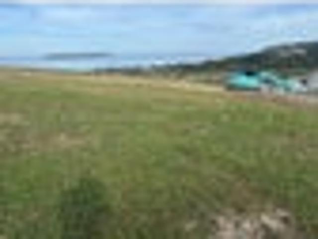 Plimmerton Heights Stunner
