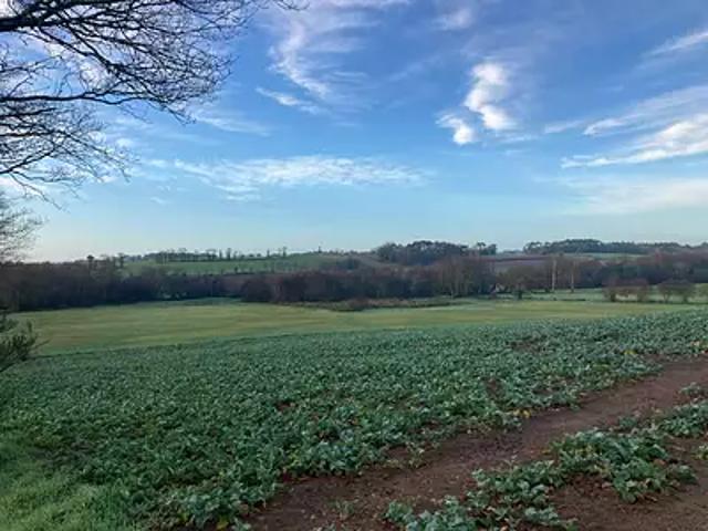 Pluvigner 56330 Achat / Vente terrain au dernier étage