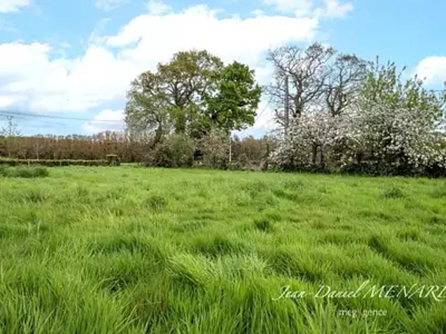 Pluduno 22130 Achat / Vente terrain