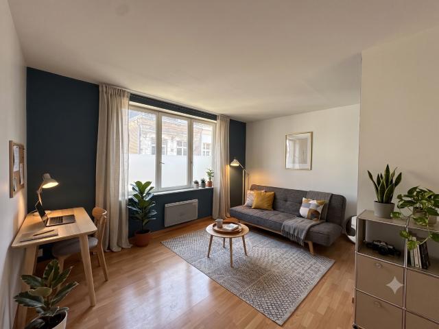 PLV Vieux Lille Studio non meublé
