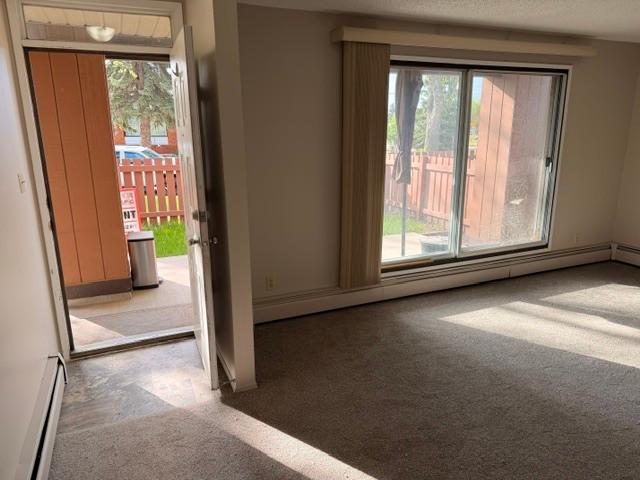 PN 704 Desirable Units Available Edmonton, AB Apartment $1,125.00 Available November 2025 [object Promise] for Rent