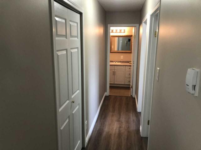 PN 0872 Spacious 2 bed 1 bath! Upgraded cabinets and countertops! Balcony! 2 Bedroom Apartment for Rent at 207, Edmonton, AB T5T None Suder Greens