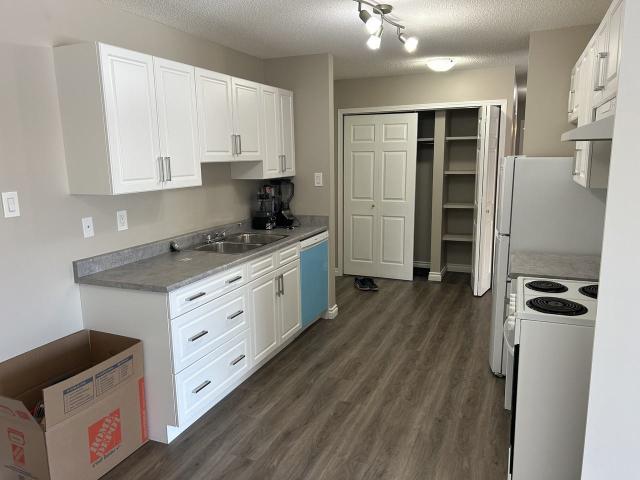 PN 0872 Spacious 2 bed 1 bath! Upgraded cabinets and countertops! Balcony! 2 Bedroom Apartment for Rent at 207, Edmonton, AB T5T None Suder Greens
