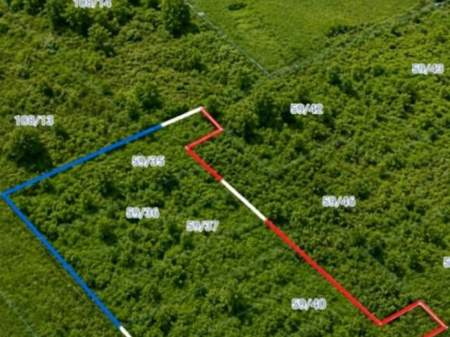 Pszeniczna 1 566 m², Koszalin
