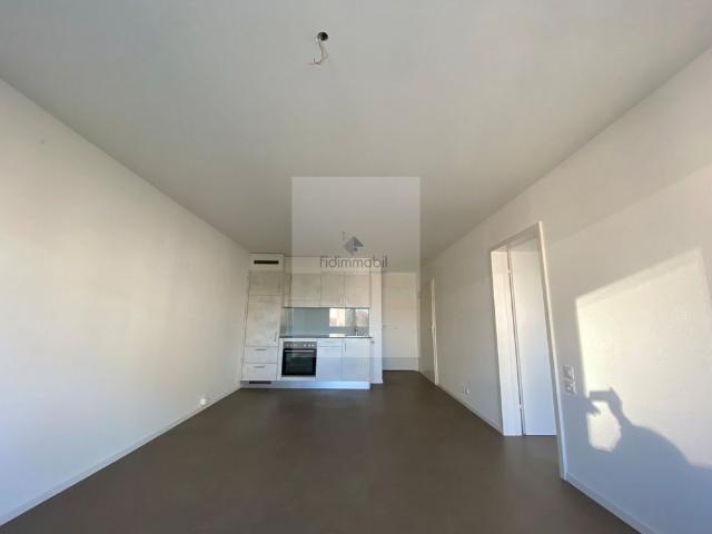 Protected 2 room apartment, reserved for AHV/IV pensioners