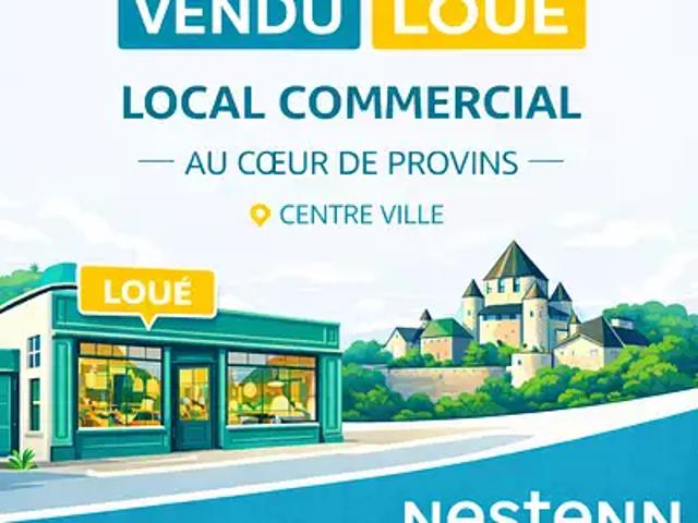 Provins 77160 Achat / Vente divers