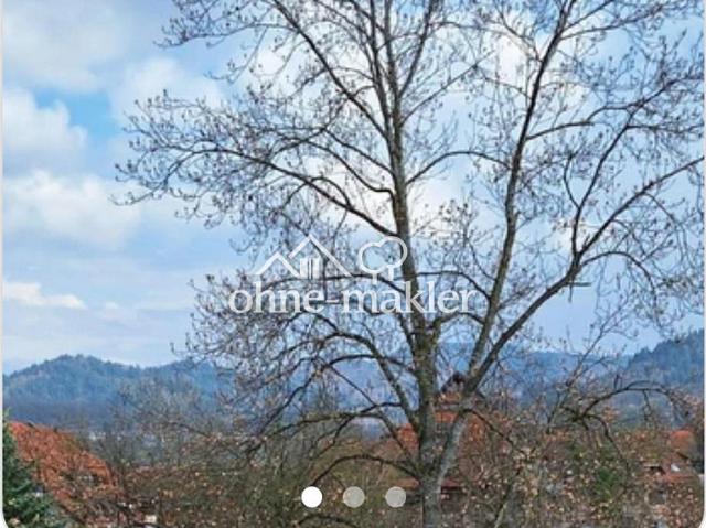 Provisionfrei. Direkt vom Eigentümer, St. Georgen Freiburg: Hochwertige, 3 Zimmer Penthouse Wohnung