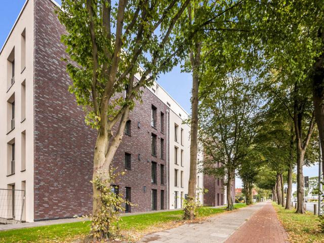 Provisionsfrei! 3 Zimmerwohnung KFW 40plus!