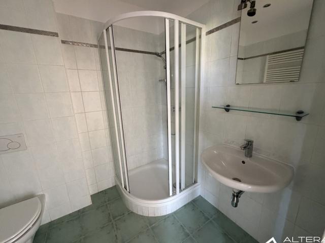 Provisionsfrei! Waltendorf! Modernisierte Kleinwohnung im Grazer Topviertel!